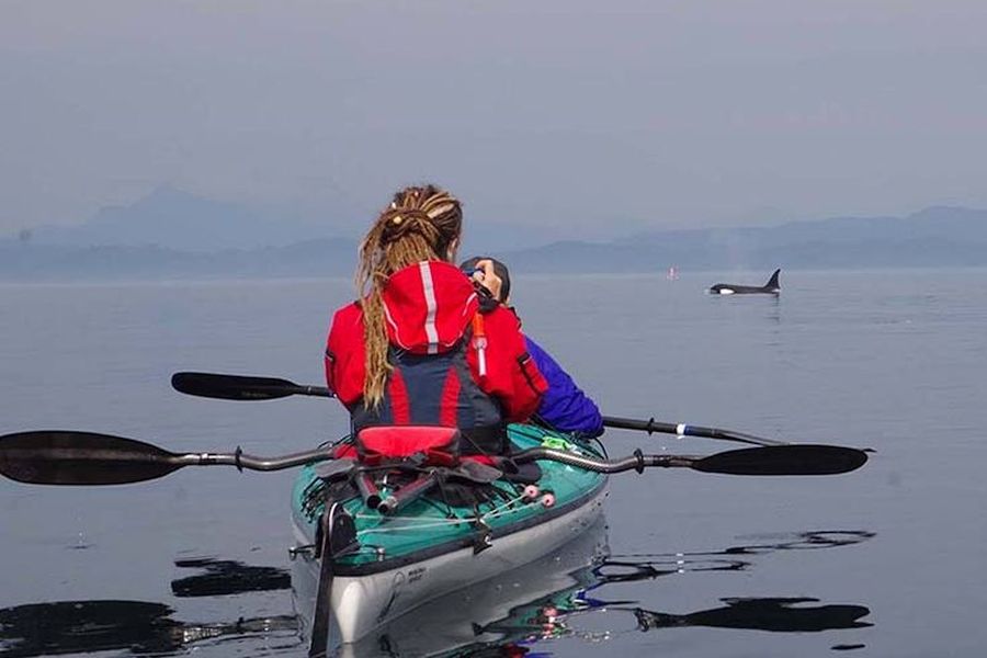 Whales and Grizzly Bears kajaktour op Vancouver Island, 4 dagen