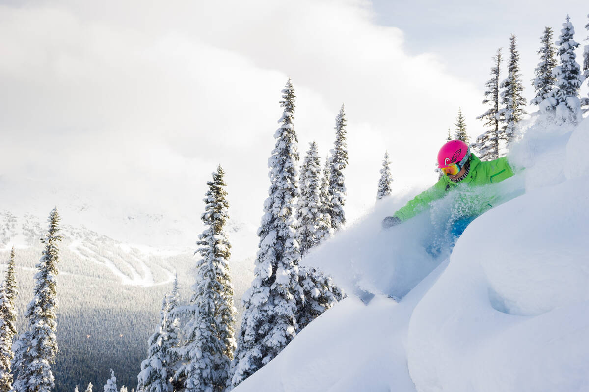 Skiër in de poedersneeuw van Whistler tijdens een wintersportreis naar Canada