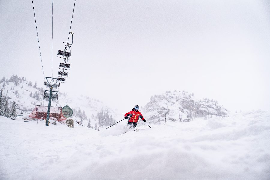 Skiër in de poedersneeuw van Banff tijdens een wintersportreis in Canada