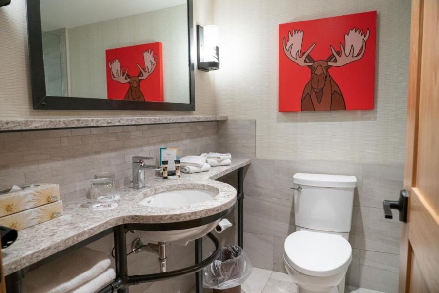 Wintersport Banff - Moose Hotel & Suites