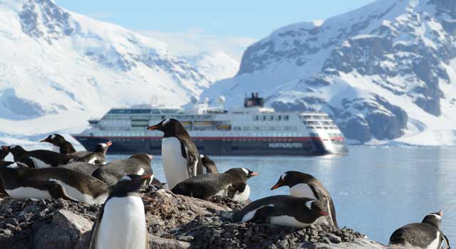 MS Midnatsol en de pinguïns