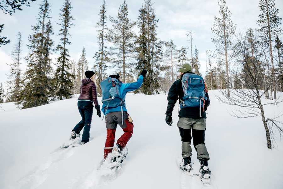 Sneeuwschoensafari 2 uur Levi