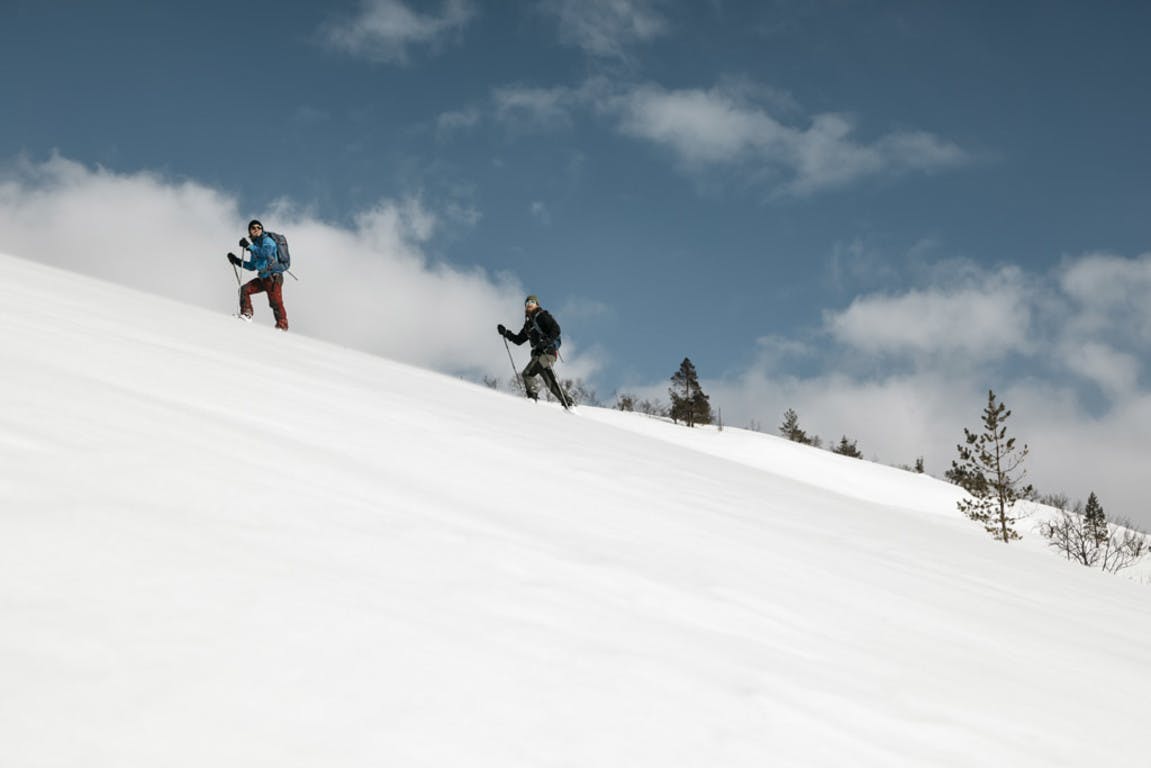 Sneeuwschoensafari 2 uur Levi