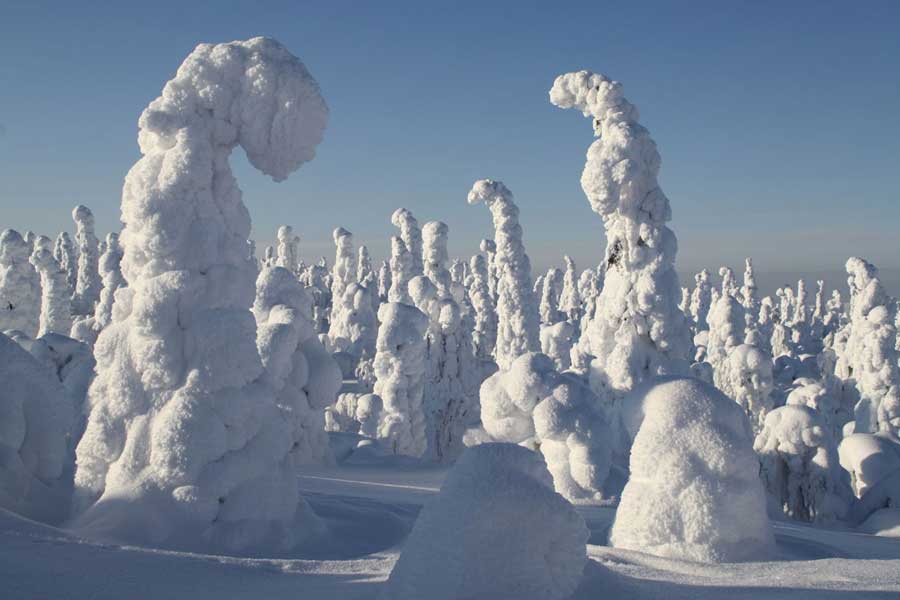 Ruka Sneeuwscootersafari naar de Russische grens