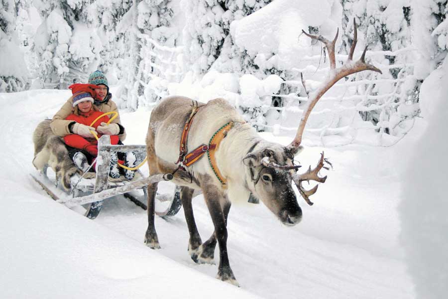 Ruka Excursie naar rendierfarm