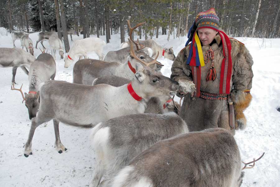 Ruka Excursie naar rendierfarm
