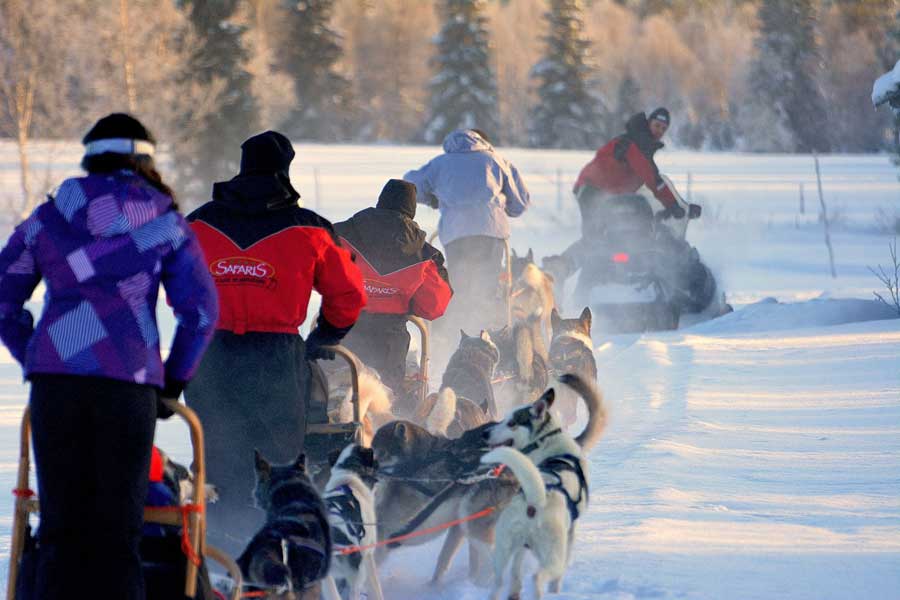 Ruka Huskysafari van 10 km