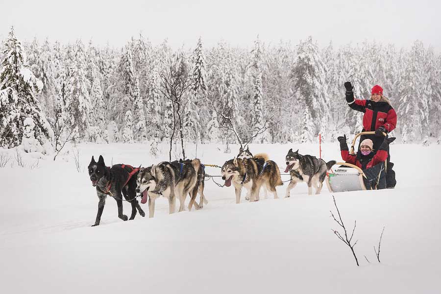 Ruka Huskysafari van 10 km