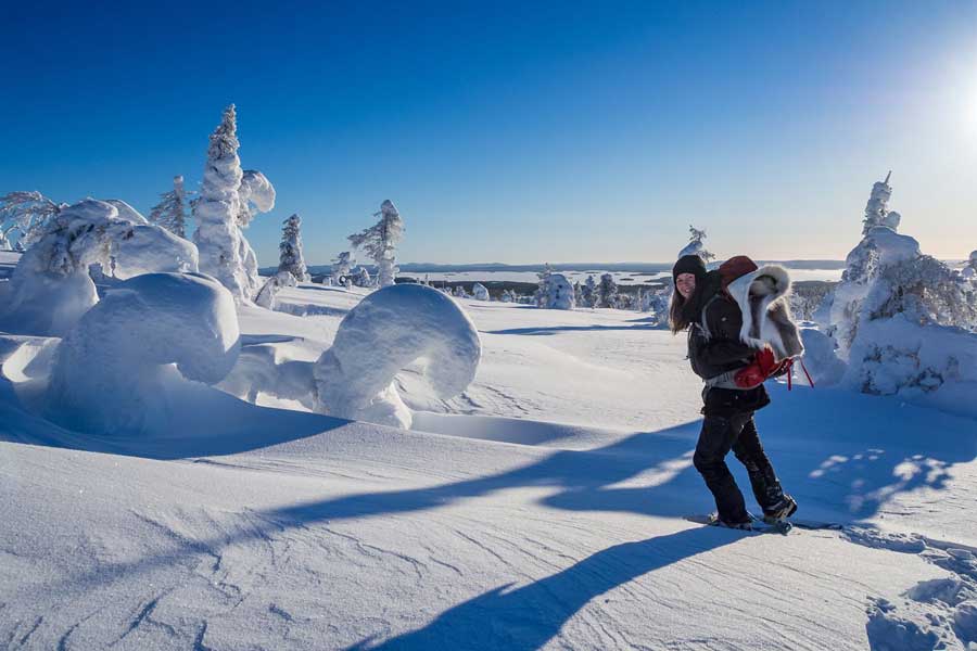 Ruka Sneeuwschoensafari naar Oulanka National Park