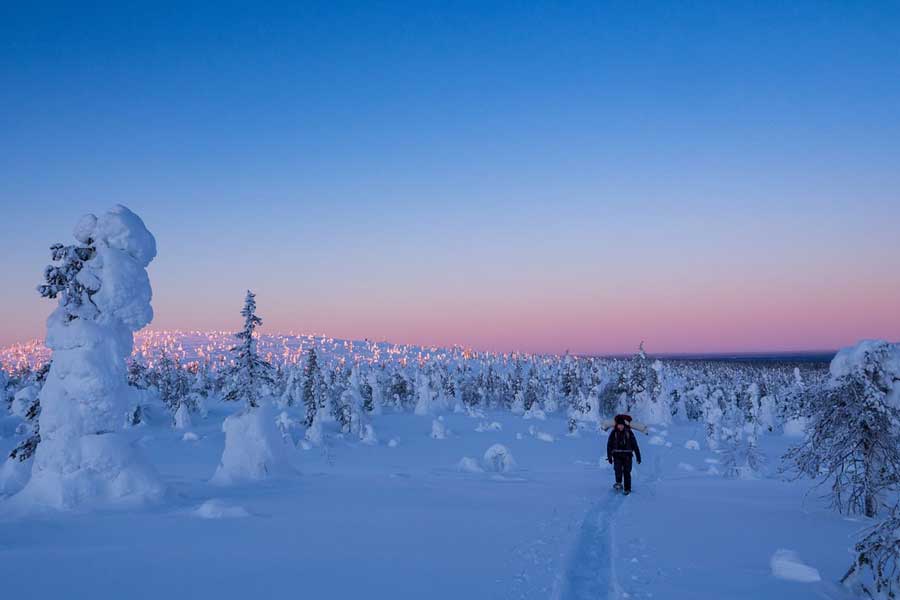 Ruka Sneeuwschoensafari naar Riisitunturi National Park