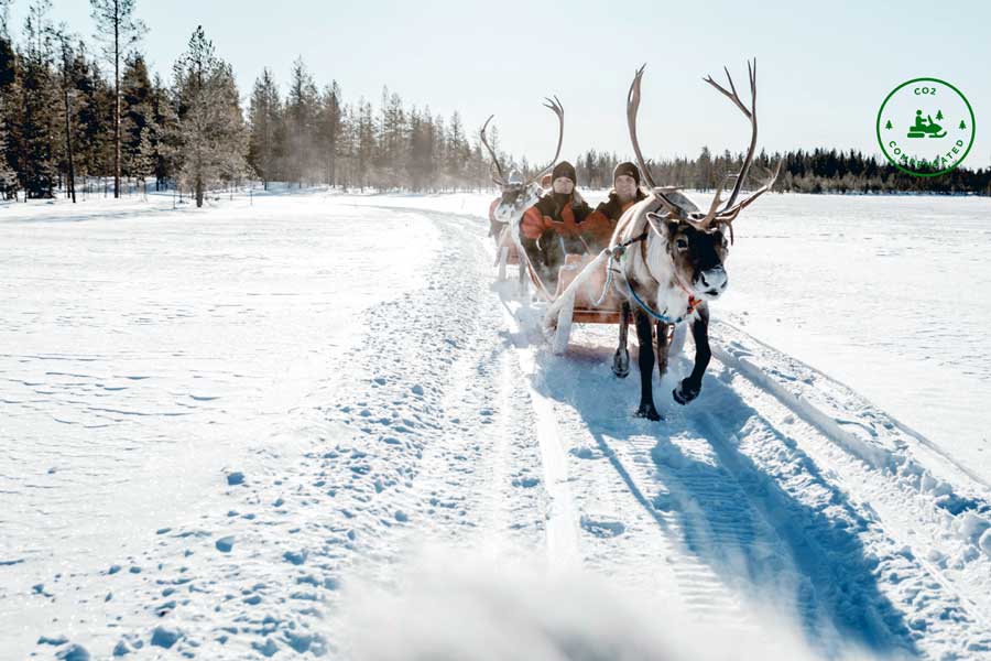 Sneeuwscootersafari met bezoek rendierfarm Saariselka