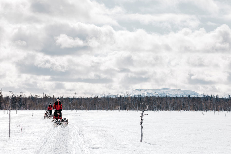 Huskysafari van 20 km Saariselka