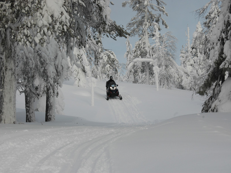Sneeuwscootersafari voor echte liefhebbers