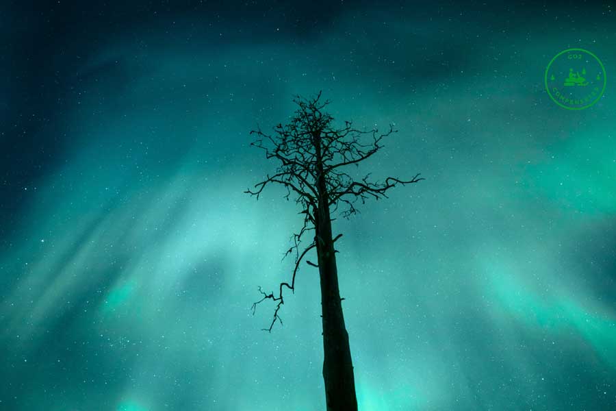 Busexcursie naar het noorderlichtkamp Saariselka