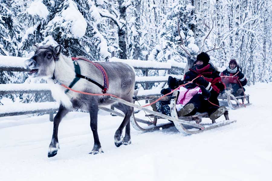 Compleet voordeel excursie-pakket, Saariselkä