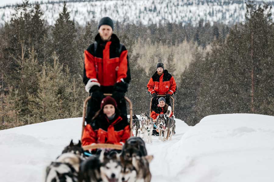 Compleet voordeel excursie-pakket, Saariselkä