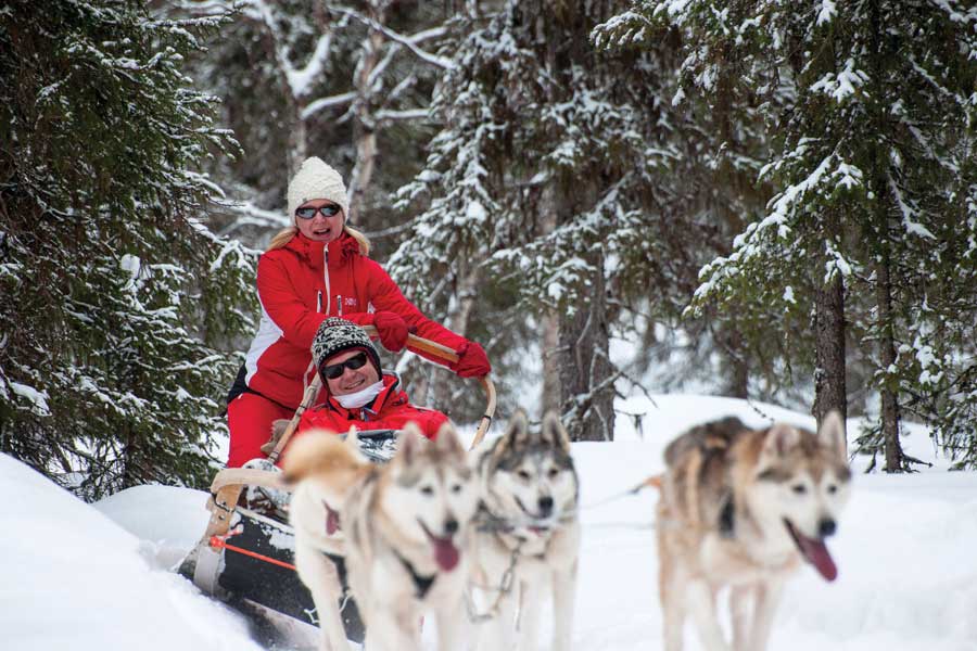 Huskysafari, halve dag Yllas