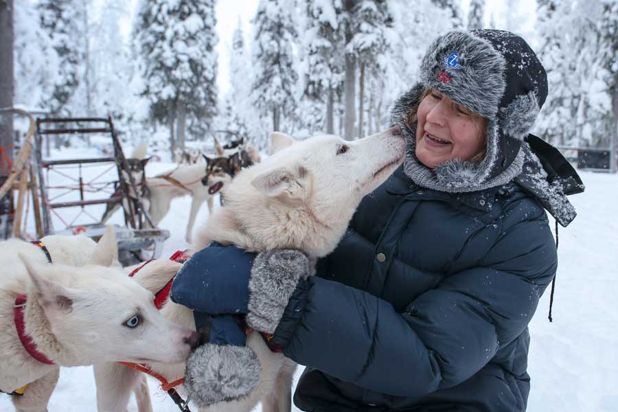 Bezoek huskyfarm en huskysafari Yllas