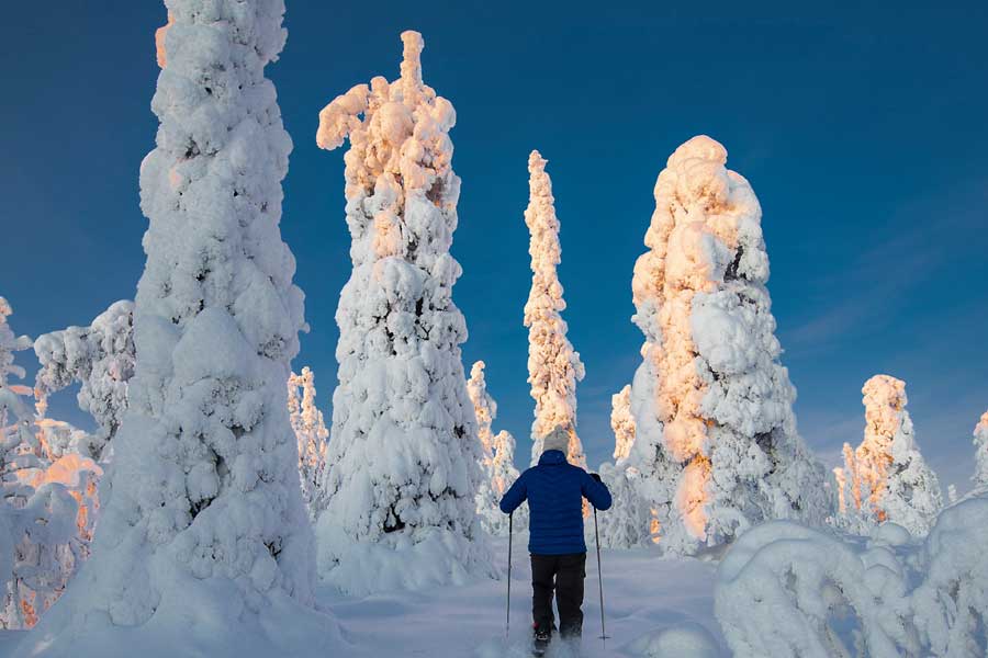 Sneeuwschoensafari naar de top van Kellostapuli Yllas