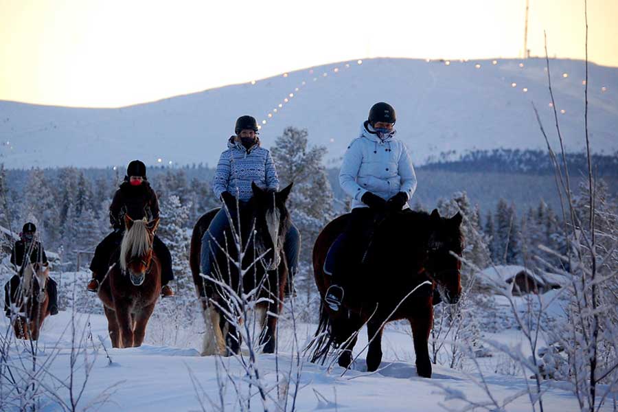 Paardrijden door winterwonderland