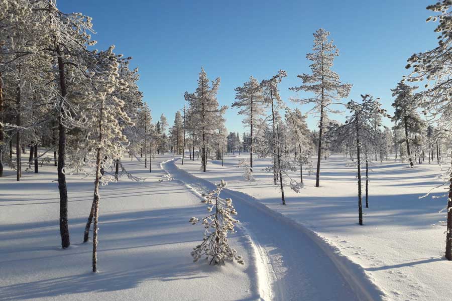 Fat bike avontuur Yllas
