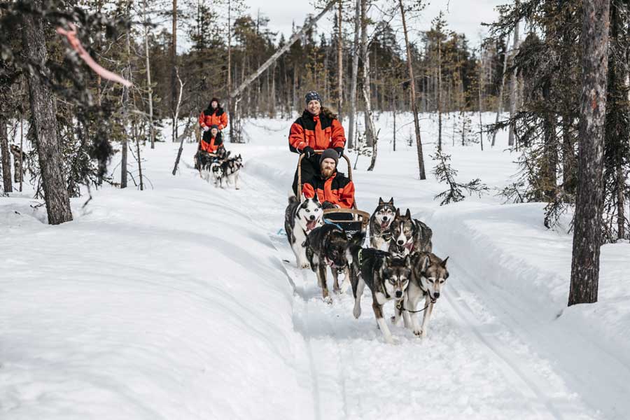 Huskysafari in Yllas
