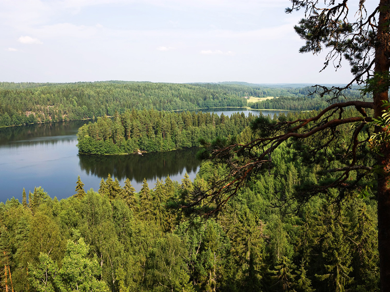Kuhmo Vuokatti