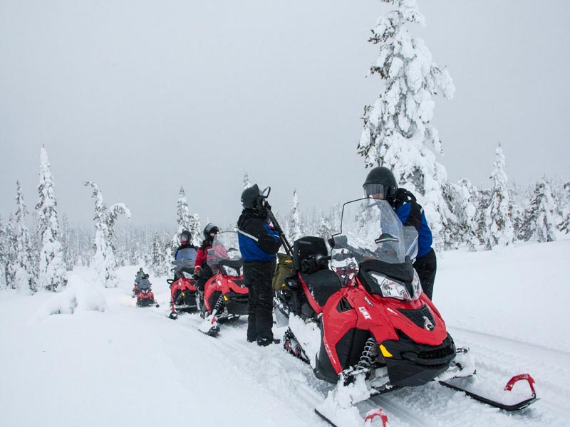 Familieavontuur in Northern Lights Village, Saariselkä 2020/2021