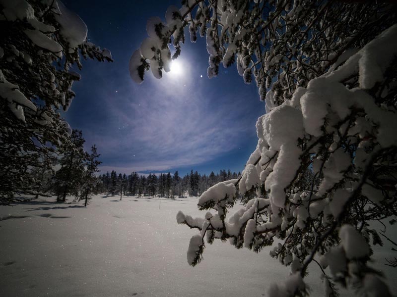 Familieavontuur in Northern Lights Village, Saariselkä 2020/2021