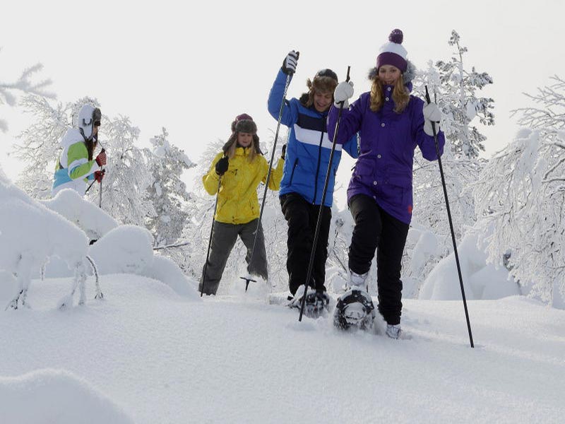 Familieavontuur in Northern Lights Village, Saariselkä 2020/2021