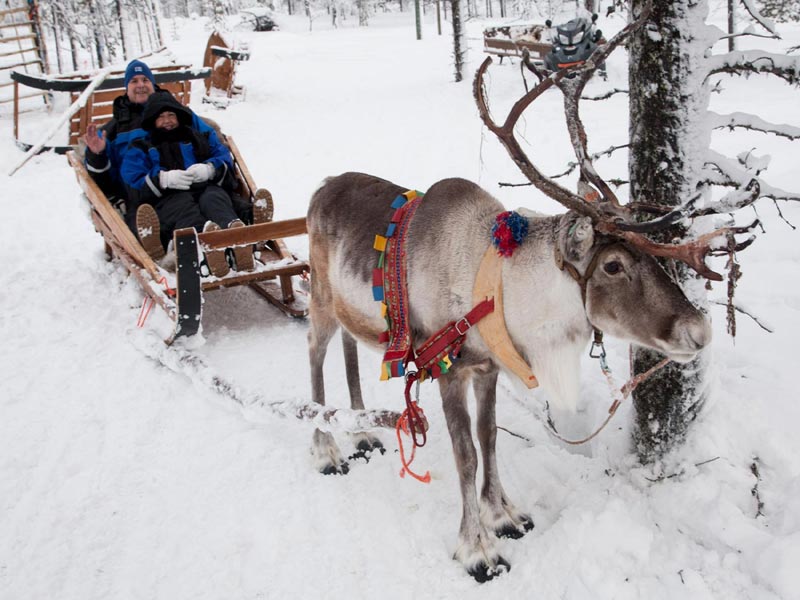 Familieavontuur in Northern Lights Village, Saariselkä 2020/2021