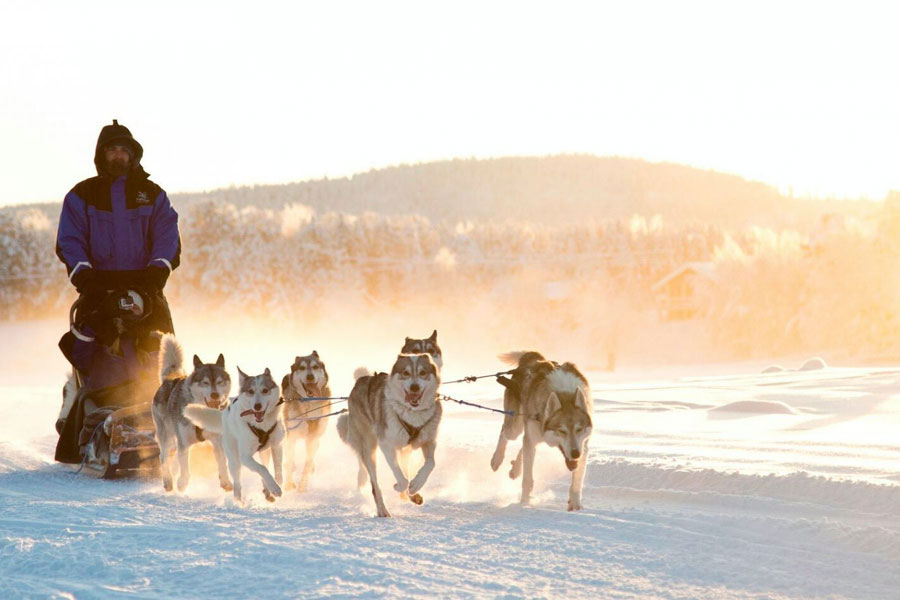 Familieavontuur in Northern Lights Village, Levi