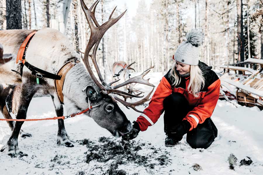 Fell Centre Kiilopaa Log Cabins Saariselka, Lapland 2021/22