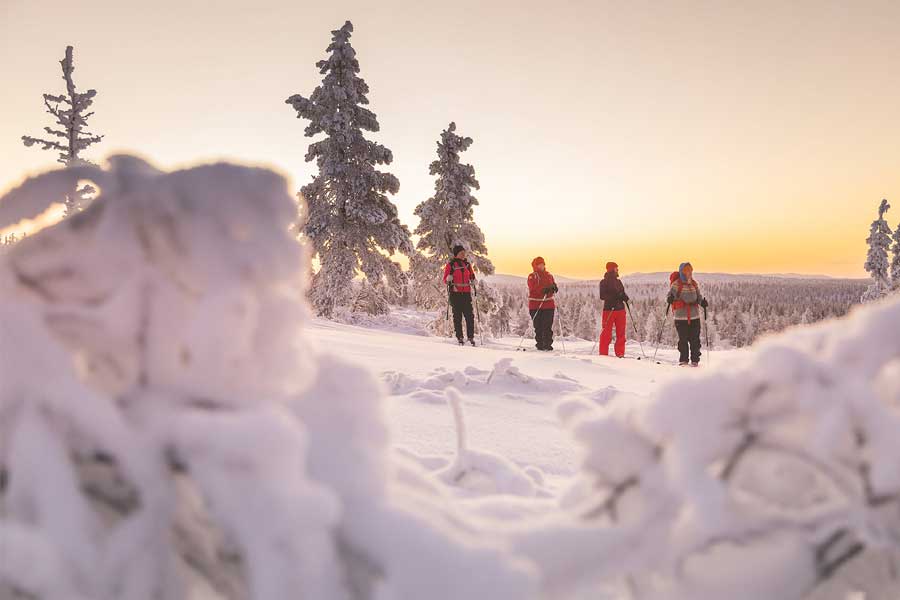 Fell Centre Kiilopaa Log Cabins Saariselka, Lapland 2021/22