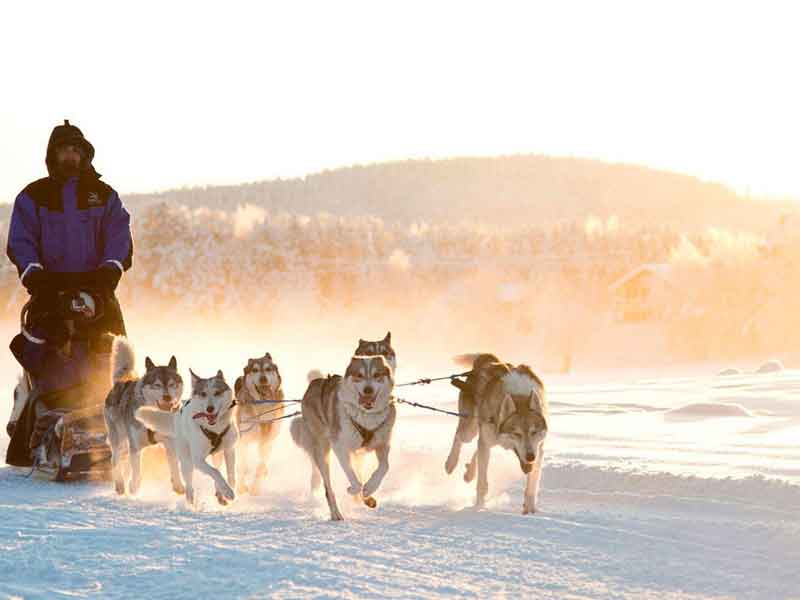 Familieavontuur in Northern Lights Village, Saariselkä 2020/2021