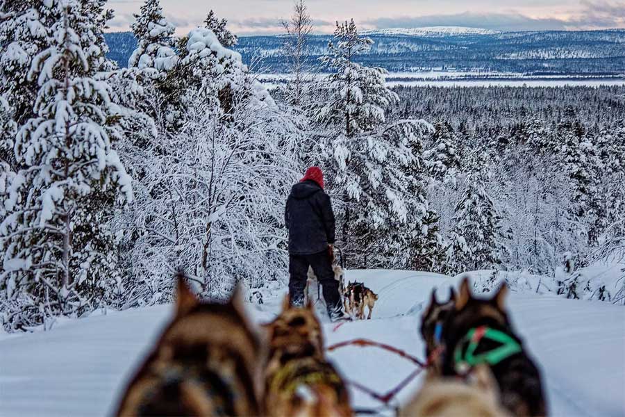 Huskysafari bij North Frontier