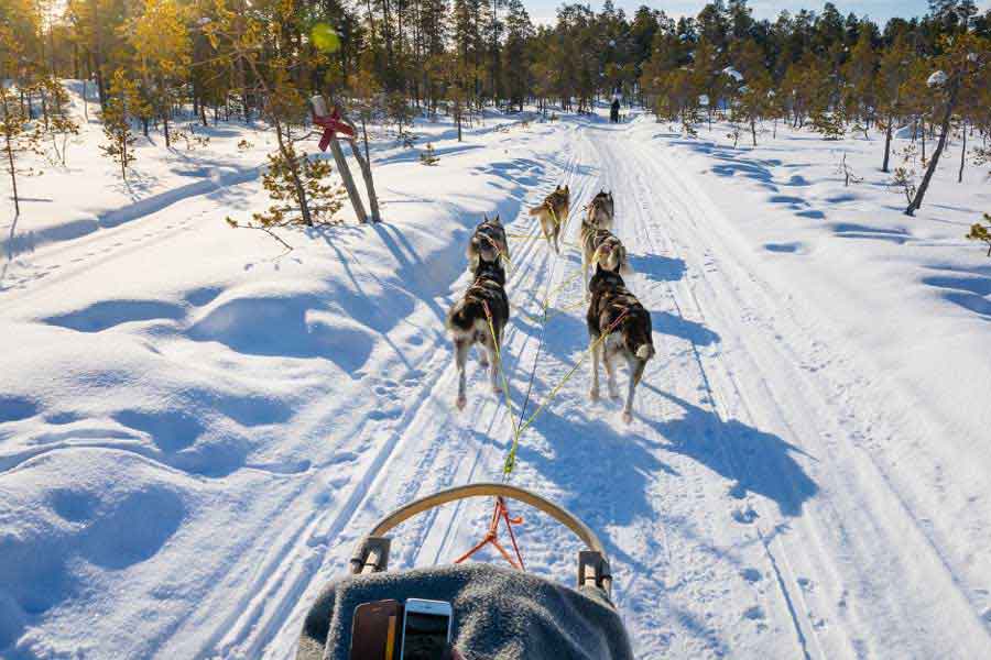 Winteravontuur Lapland