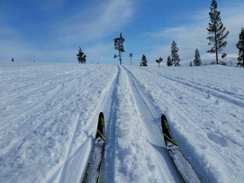 Wildernis Lodge Nangu, Lapland avonturenweek