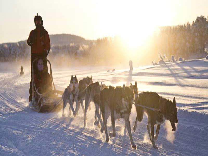 Wildernis Lodge Nangu, Lapland avonturenweek