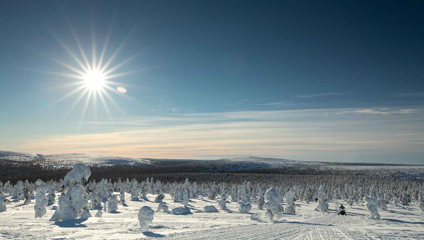 Kieppi Wilderness hotel winteravontuur afbeelding
