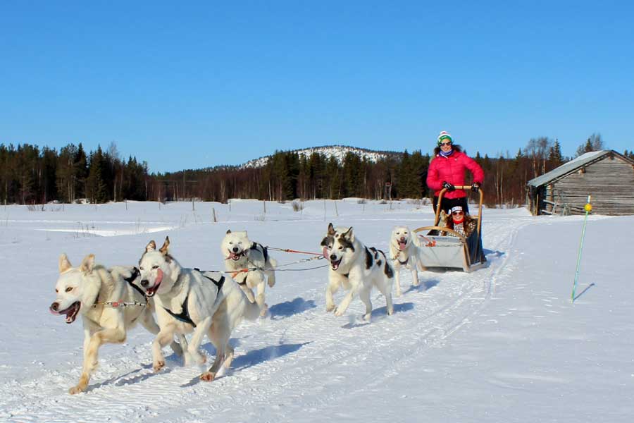 Winteravontuur Ruka, Lapland