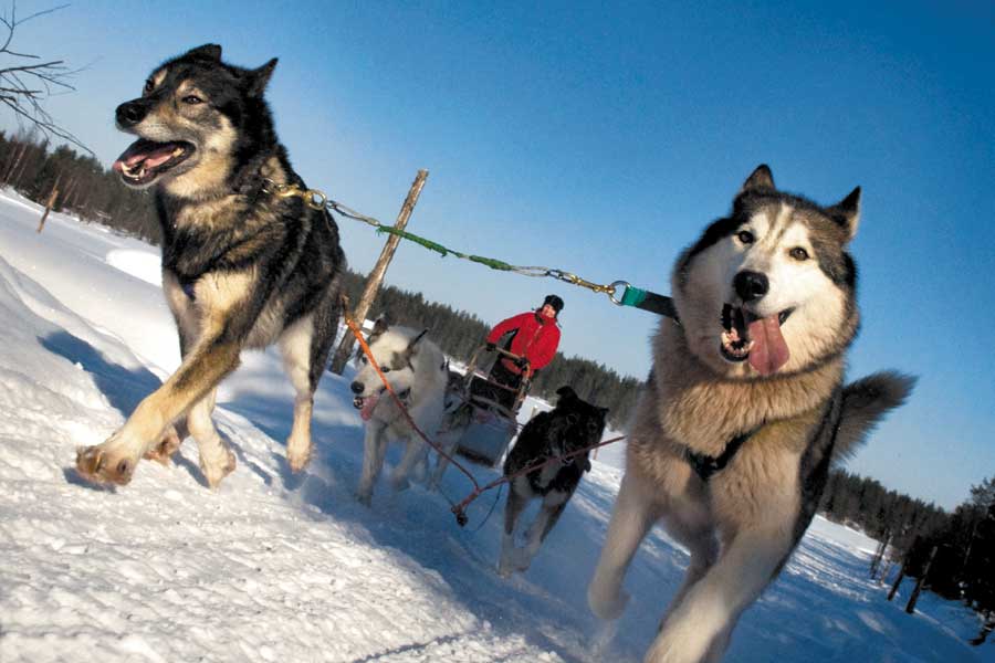 Winteravontuur Ruka, Lapland