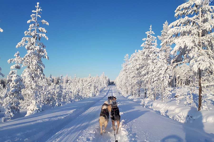 Winteravontuur Ruka, Lapland