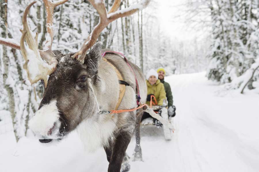 Winteravontuur Ruka, Lapland