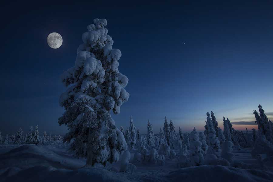 Winteravontuur Ruka, Lapland