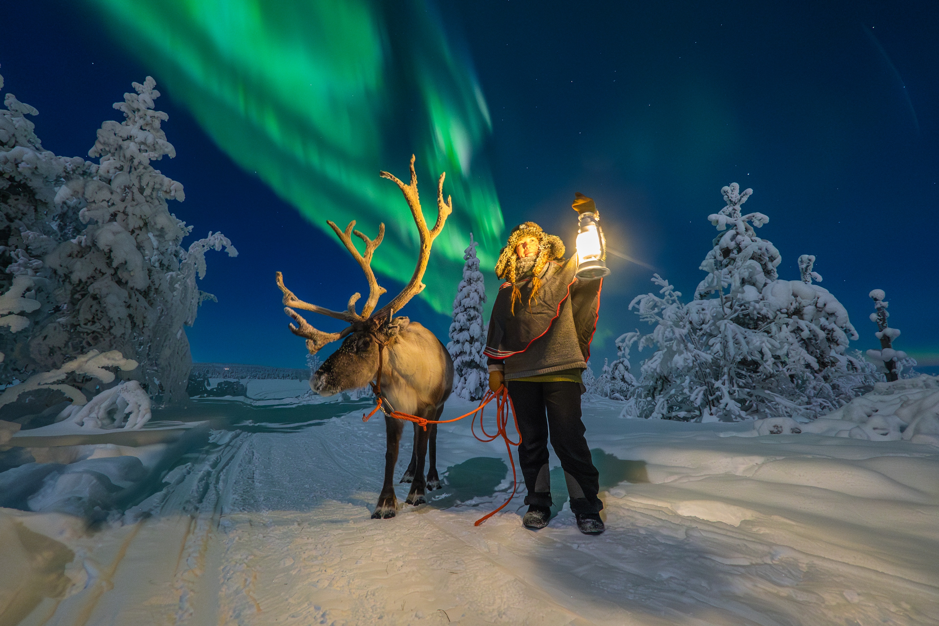 Ontdek de wildernis van Lapland, huskyavontuur