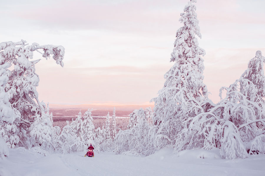 Ontdek de wildernis van Lapland, huskyavontuur