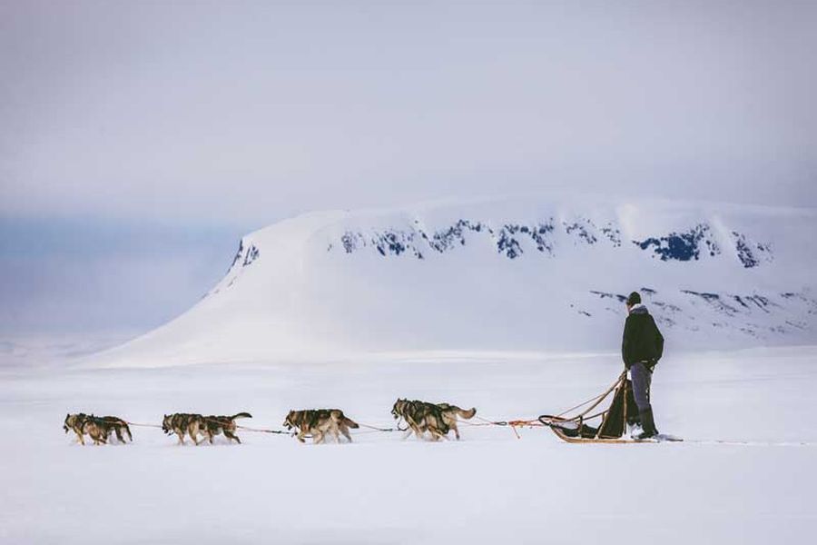 Ontdek de wildernis van Lapland, huskyavontuur