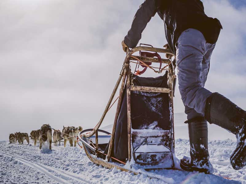 Ontdek de wildernis van Lapland, huskyavontuur 2020/2021