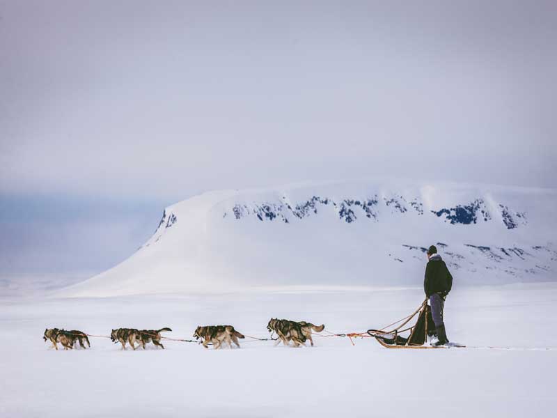 Het beste van Lapland, winteravontuur 2020/2021